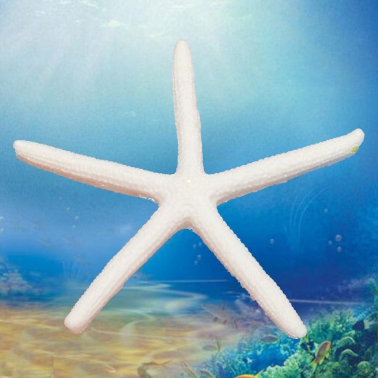 12Pcs Beautiful White Finger Starfish 3-4 inch Beach Wedding Coastal Decorations