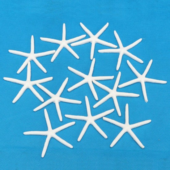 12Pcs Beautiful White Finger Starfish 3-4 inch Beach Wedding Coastal Decorations