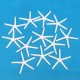 12Pcs Beautiful White Finger Starfish 3-4 inch Beach Wedding Coastal Decorations 12Pcs Beautiful White Finger Starfish 3-4 inch Beach Wedding Coastal Decorations