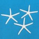 12Pcs Beautiful White Finger Starfish 3-4 inch Beach Wedding Coastal Decorations