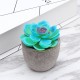 12pcs Artificial Desert Succule Cactus Plants Foliage Artificial Flowers Potted Decor 12pcs Artificial Desert Succule Cactus Plants Foliage Artificial Flowers Potted Decor
