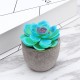 12pcs Artificial Desert Succule Cactus Plants Foliage Artificial Flowers Potted Decor