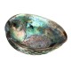 13X10CM Natural Abalone Sea Shell Both Side Polished Beach Craft DIY Decorations