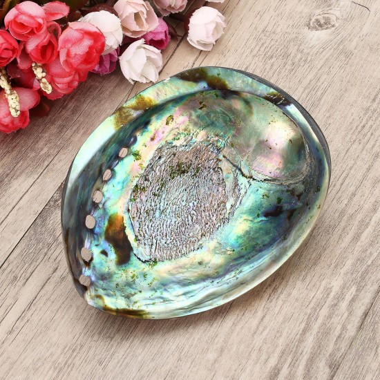 13X10CM Natural Abalone Sea Shell Both Side Polished Beach Craft DIY Decorations