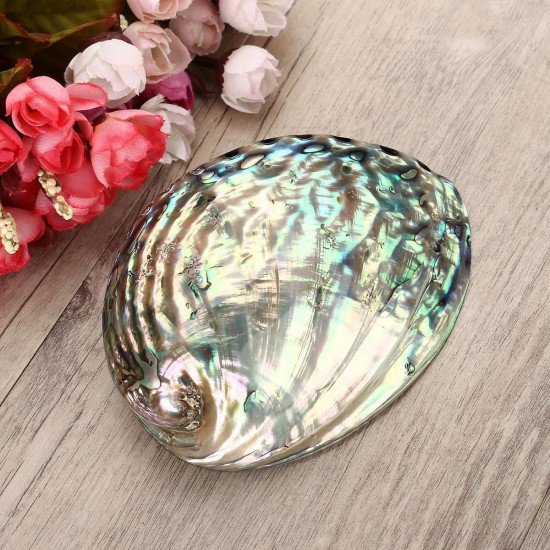 13X10CM Natural Abalone Sea Shell Both Side Polished Beach Craft DIY Decorations