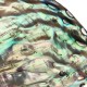 13X10CM Natural Abalone Sea Shell Both Side Polished Beach Craft DIY Decorations 13X10CM Natural Abalone Sea Shell Both Side Polished Beach Craft DIY Decorations