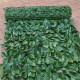 150x300cm Screen Artificial Faux Ivy Leaves Wall Garden Fence Outdoor Home Decorations 150x300cm Screen Artificial Faux Ivy Leaves Wall Garden Fence Outdoor Home Decorations