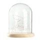 15*18.5cm Glass Dome Display Jar Clothe Decor Wooden Base w/ Fairy LED Light 15*18.5cm Glass Dome Display Jar Clothe Decor Wooden Base w/ Fairy LED Light