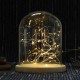 15*18.5cm Glass Dome Display Jar Clothe Decor Wooden Base w/ Fairy LED Light 15*18.5cm Glass Dome Display Jar Clothe Decor Wooden Base w/ Fairy LED Light