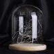 15*18.5cm Glass Dome Display Jar Clothe Decor Wooden Base w/ Fairy LED Light 15*18.5cm Glass Dome Display Jar Clothe Decor Wooden Base w/ Fairy LED Light