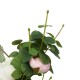 15.7 Inches Artificial Flowers Wreaths Door Perfect Artificial Garland for Wedding Deco Supplies Home Party Decor 15.7 Inches Artificial Flowers Wreaths Door Perfect Artificial Garland for Wedding Deco Supplies Home Party Decor