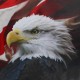 167x63.5cm T40 Eagle America Flag Tailgate Wrap Vinyl Graphic Car Decal Truck Rear Wrap Car Stickers 167x63.5cm T40 Eagle America Flag Tailgate Wrap Vinyl Graphic Car Decal Truck Rear Wrap Car Stickers
