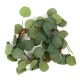 1.7m Artificial Eucalyptus Leaves Garland Vine Wedding Greenery for Home Wall Decorations