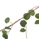 1.7m Artificial Eucalyptus Leaves Garland Vine Wedding Greenery for Home Wall Decorations