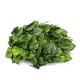 198cm Artificial Ivy Leaf Vine Foliage Green Hanging Garland Plant Home Wedding Decorations 198cm Artificial Ivy Leaf Vine Foliage Green Hanging Garland Plant Home Wedding Decorations