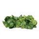 198cm Artificial Ivy Leaf Vine Foliage Green Hanging Garland Plant Home Wedding Decorations 198cm Artificial Ivy Leaf Vine Foliage Green Hanging Garland Plant Home Wedding Decorations