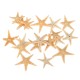 20Pcs Mini Starfish Sea Star Shell Landscape Beach Wedding DIY Crafts Making Decorations 20Pcs Mini Starfish Sea Star Shell Landscape Beach Wedding DIY Crafts Making Decorations