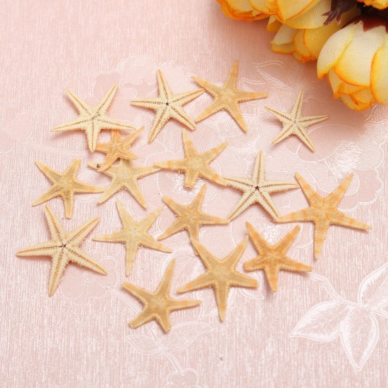 20Pcs Mini Starfish Sea Star Shell Landscape Beach Wedding DIY Crafts Making Decorations