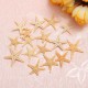 20Pcs Mini Starfish Sea Star Shell Landscape Beach Wedding DIY Crafts Making Decorations 20Pcs Mini Starfish Sea Star Shell Landscape Beach Wedding DIY Crafts Making Decorations