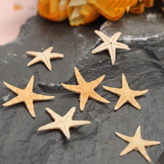 20Pcs Mini Starfish Sea Star Shell Landscape Beach Wedding DIY Crafts Making Decorations 20Pcs Mini Starfish Sea Star Shell Landscape Beach Wedding DIY Crafts Making Decorations