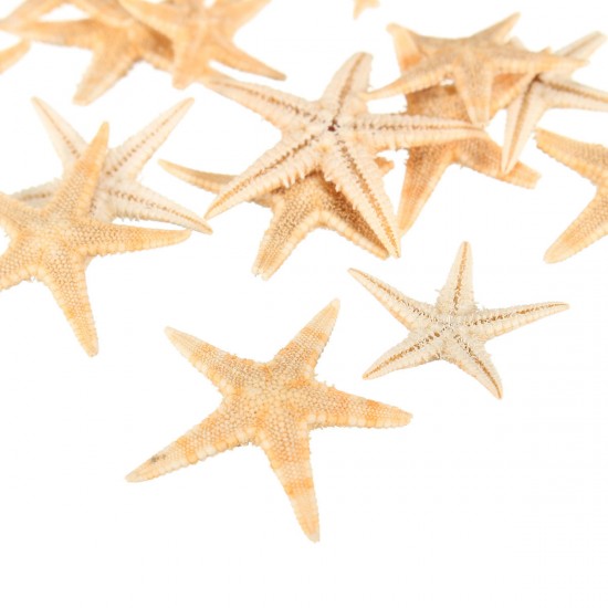 20Pcs Mini Starfish Sea Star Shell Landscape Beach Wedding DIY Crafts Making Decorations