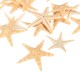 20Pcs Mini Starfish Sea Star Shell Landscape Beach Wedding DIY Crafts Making Decorations 20Pcs Mini Starfish Sea Star Shell Landscape Beach Wedding DIY Crafts Making Decorations