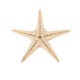 20Pcs Mini Starfish Sea Star Shell Landscape Beach Wedding DIY Crafts Making Decorations 20Pcs Mini Starfish Sea Star Shell Landscape Beach Wedding DIY Crafts Making Decorations