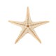 20Pcs Mini Starfish Sea Star Shell Landscape Beach Wedding DIY Crafts Making Decorations