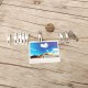 20Pcs Stainless Steel Clothes Pegs Hanging Pins Laundry Household Clamps Clamping Tools