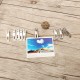 20Pcs Stainless Steel Clothes Pegs Hanging Pins Laundry Household Clamps Clamping Tools 20Pcs Stainless Steel Clothes Pegs Hanging Pins Laundry Household Clamps Clamping Tools