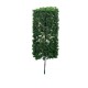 21Pcs/Lot Sand Table Model Garden Micro Landscape Flower Tree Combination Decorations 21Pcs/Lot Sand Table Model Garden Micro Landscape Flower Tree Combination Decorations