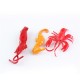 24PCS Plastic Ocean Animals Figure Sea Dolphin Turtle Creatures Model Toys Gift 24PCS Plastic Ocean Animals Figure Sea Dolphin Turtle Creatures Model Toys Gift