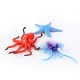 24PCS Plastic Ocean Animals Figure Sea Dolphin Turtle Creatures Model Toys Gift 24PCS Plastic Ocean Animals Figure Sea Dolphin Turtle Creatures Model Toys Gift