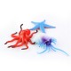 24PCS Plastic Ocean Animals Figure Sea Dolphin Turtle Creatures Model Toys Gift