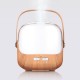 250ML Electric Ultrasonic Air Humidifier Aromatherapy Diffuser with 7 LED