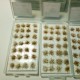 28pcs/Set DIY Mini Scenery Snowy Grass Clusters Ciniature Model Scale Decorations 28pcs/Set DIY Mini Scenery Snowy Grass Clusters Ciniature Model Scale Decorations