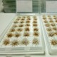 28pcs/Set DIY Mini Scenery Snowy Grass Clusters Ciniature Model Scale Decorations