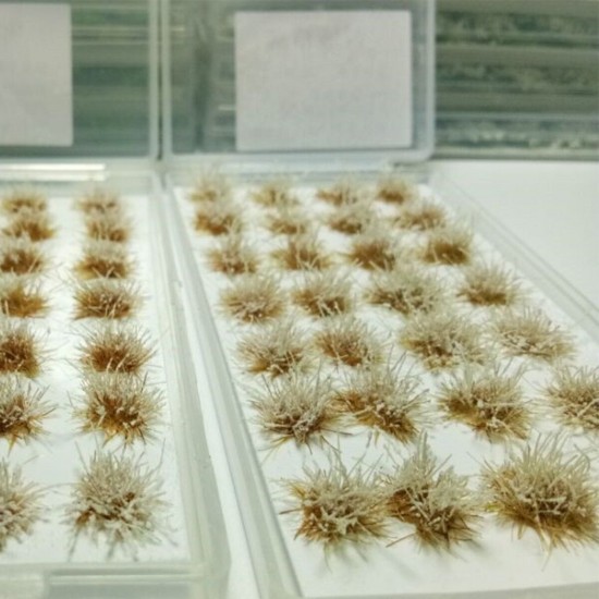 28pcs/Set DIY Mini Scenery Snowy Grass Clusters Ciniature Model Scale Decorations 28pcs/Set DIY Mini Scenery Snowy Grass Clusters Ciniature Model Scale Decorations