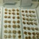 28pcs/Set DIY Mini Scenery Snowy Grass Clusters Ciniature Model Scale Decorations 28pcs/Set DIY Mini Scenery Snowy Grass Clusters Ciniature Model Scale Decorations