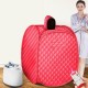 2L Sauna Spa Steam Foldable Portable Tent Full Body Slim Loss Weight Detox