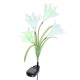 2Pcs 4LED Solar Light Flower Outdoor Garden LED Light 2Pcs 4LED Solar Light Flower Outdoor Garden LED Light