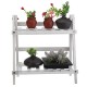 2Tier Wooden Shelves Flower Pot Plant Stand Display Indoor Outdoor Garden Patio