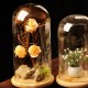 33x15cm Glass Dome Wooden Base Cloche Bell Jar Display Stand Micro Landscape Dried Flower DIY Vase