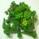 37Pcs/Lot Micro Model Green Trees Mixed Landscape Garden Scenery Sandwork Decorations 37Pcs/Lot Micro Model Green Trees Mixed Landscape Garden Scenery Sandwork Decorations