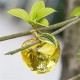 3D Glaze Crystal Apple Figurine Glass Paperweight Wedding Favor Decor 60mm/50mm 3D Glaze Crystal Apple Figurine Glass Paperweight Wedding Favor Decor 60mm/50mm