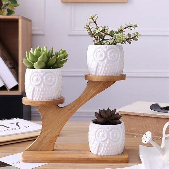 3Pcs Owl Succulent Pot Ceramic Garden Flower Planter Holder Bamboo Stand Sets