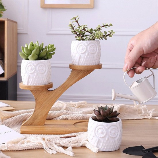 3Pcs Owl Succulent Pot Ceramic Garden Flower Planter Holder Bamboo Stand Sets 3Pcs Owl Succulent Pot Ceramic Garden Flower Planter Holder Bamboo Stand Sets
