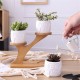 3Pcs Owl Succulent Pot Ceramic Garden Flower Planter Holder Bamboo Stand Sets 3Pcs Owl Succulent Pot Ceramic Garden Flower Planter Holder Bamboo Stand Sets