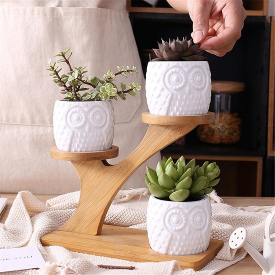 3Pcs Owl Succulent Pot Ceramic Garden Flower Planter Holder Bamboo Stand Sets