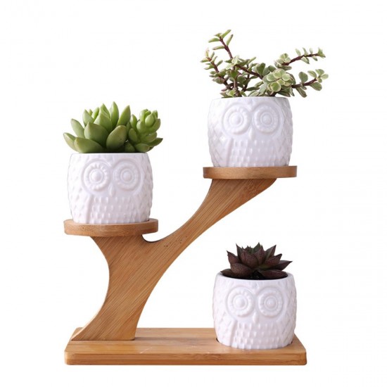3Pcs Owl Succulent Pot Ceramic Garden Flower Planter Holder Bamboo Stand Sets 3Pcs Owl Succulent Pot Ceramic Garden Flower Planter Holder Bamboo Stand Sets